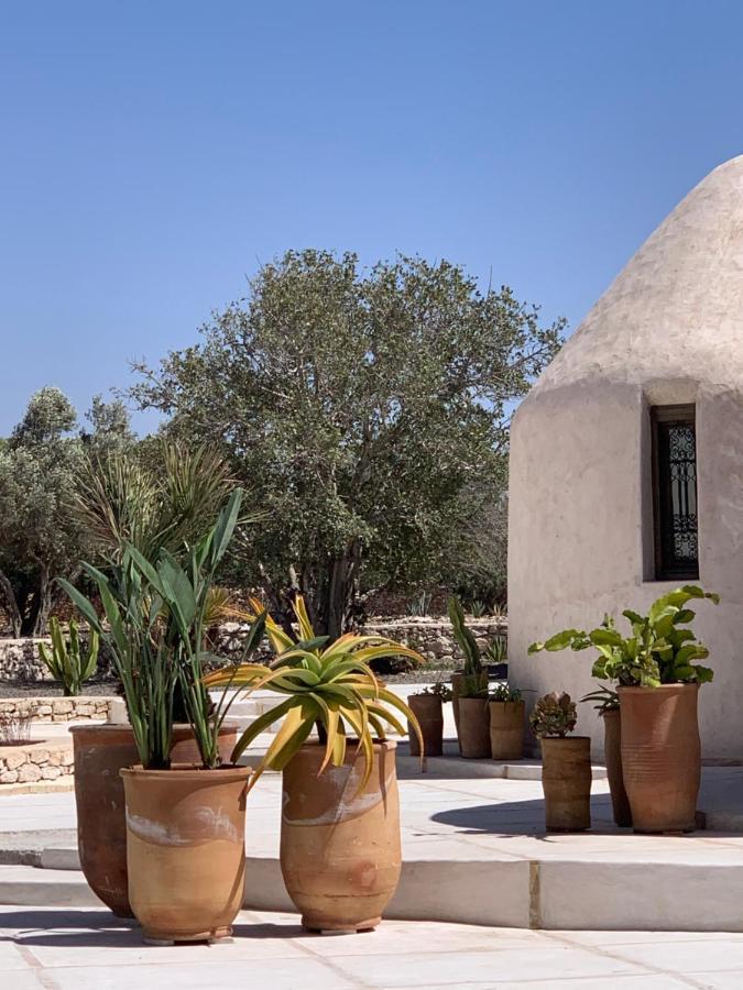 Les Jardins De Villa Maroc Esauira Exterior foto